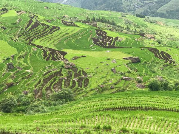 37721595 505698289851990 1852872311951065088 n